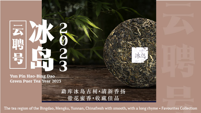 🌿紫藤强烈推荐！【云聘号冰岛2023】 | Purple Cane